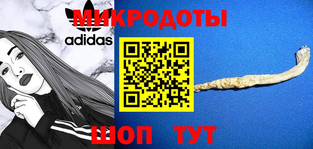 Псилоцибиновые грибы мицелий  где купить наркотик  Казань  Вход с VPN  Псилоцибиновые грибы Psilocybe 