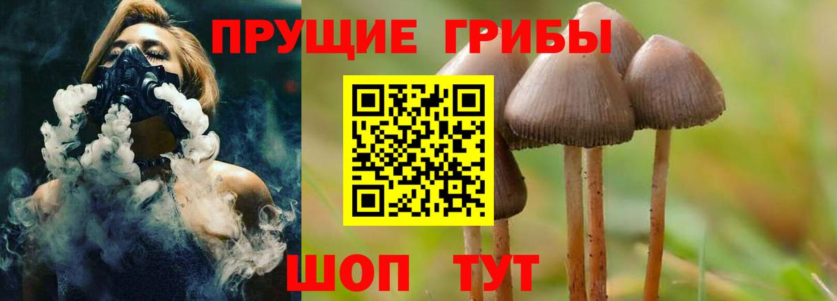Галлюциногенные грибы Psilocybine cubensis Казань